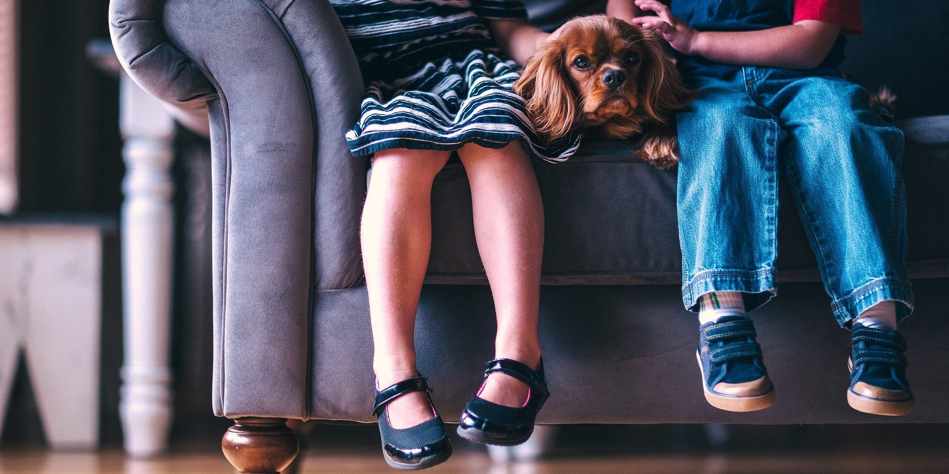 Vielsitzer Vielsitzer