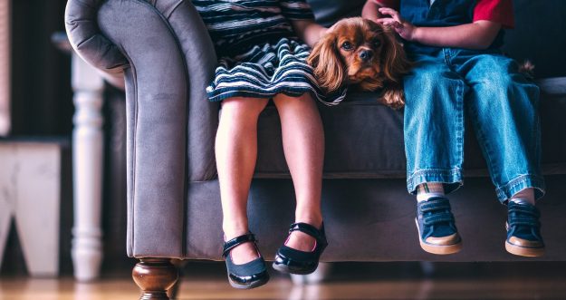 Vielsitzer Vielsitzer